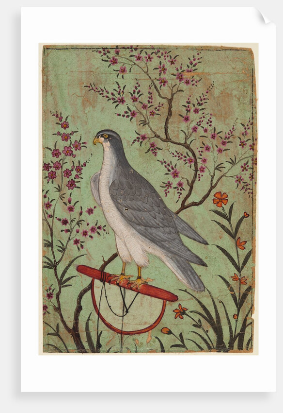 Falcon on a Perch, c. 1610 by Unknown