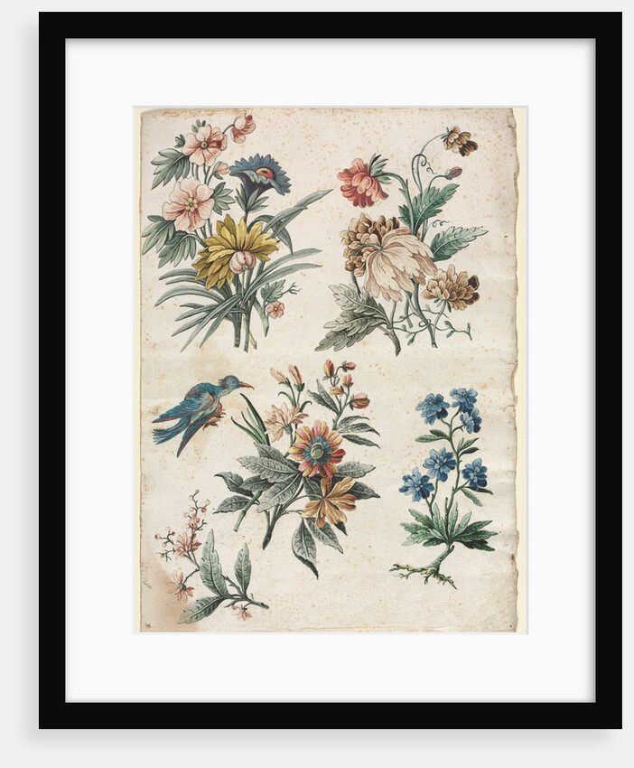 Floral Designs with a Blue Bird, c. 1773/74 by Giacomo Cavenezia
