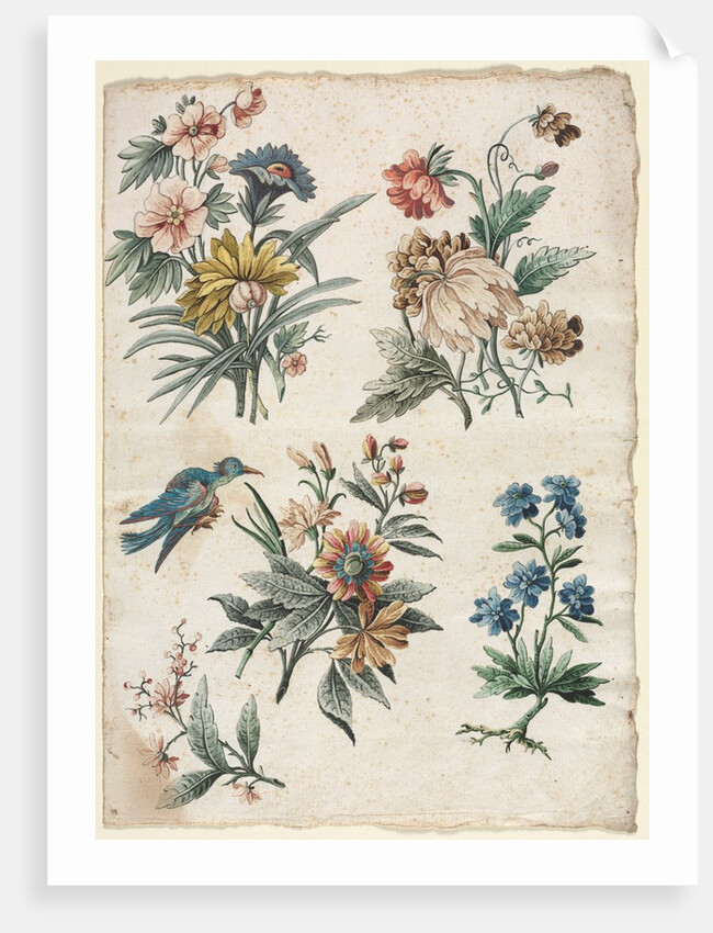 Floral Designs with a Blue Bird, c. 1773/74 by Giacomo Cavenezia
