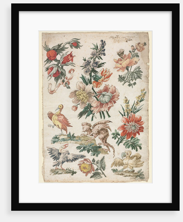 Floral Designs with Birds and Griffon, 1784 by Giacomo Cavenezia