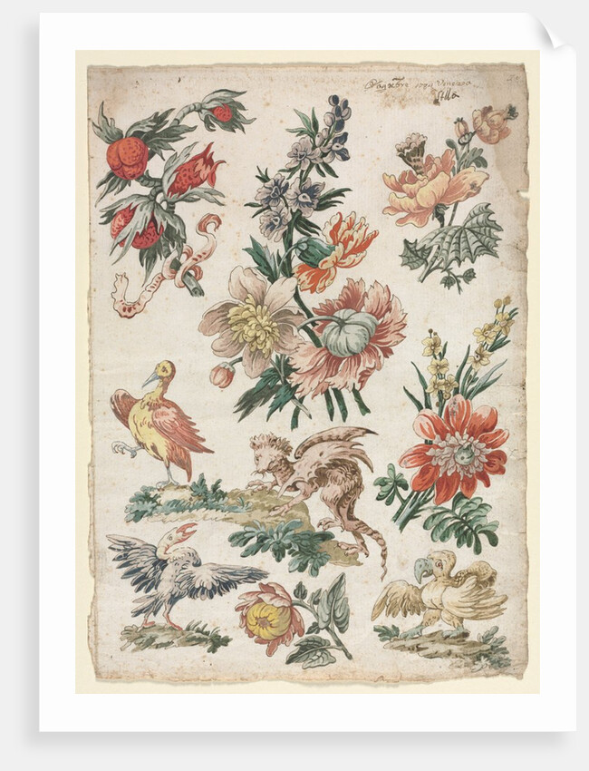 Floral Designs with Birds and Griffon, 1784 by Giacomo Cavenezia