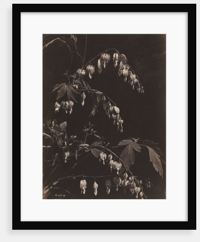 Floral Still Life, c. 1865 by Charles Aubry