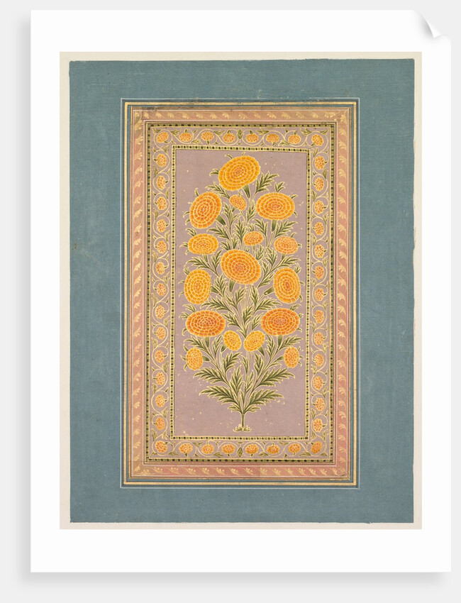 Flowering Marigold, c. 1765 by Hunhar II (style of)