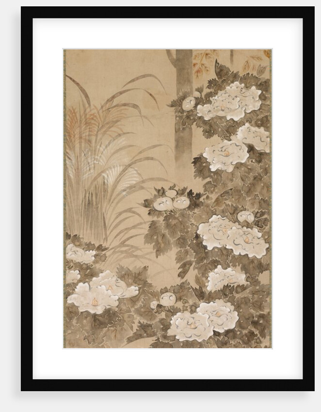 Flowers and Foliage of Autumn, mid 1700s by Tatebayashi Kagei