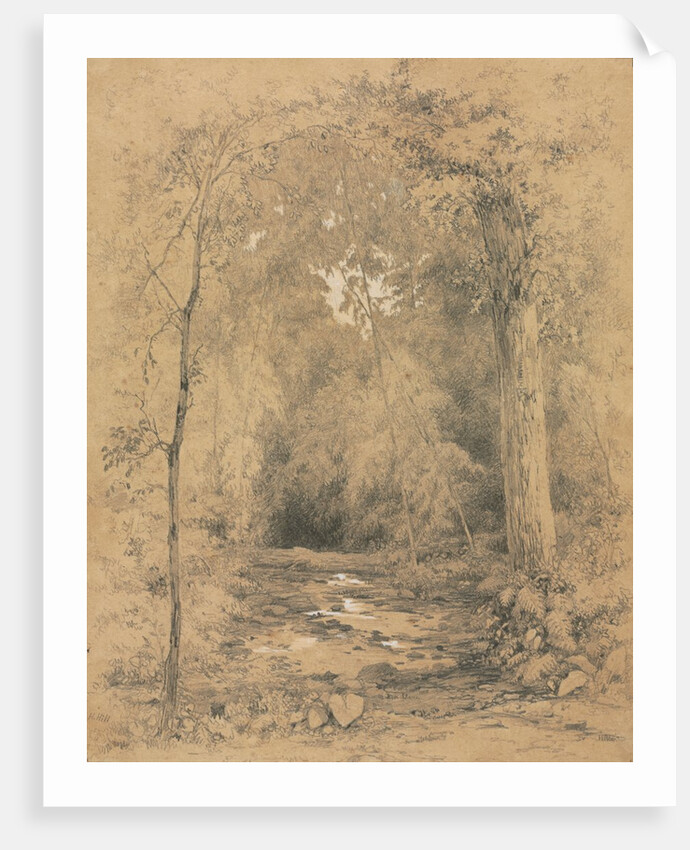 Forest Interior, c. 1870 by John Henry Hill