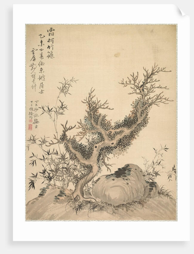 Frosted Branches and Dwarf Bamboo, 1847 by Tsubaki Chinzan