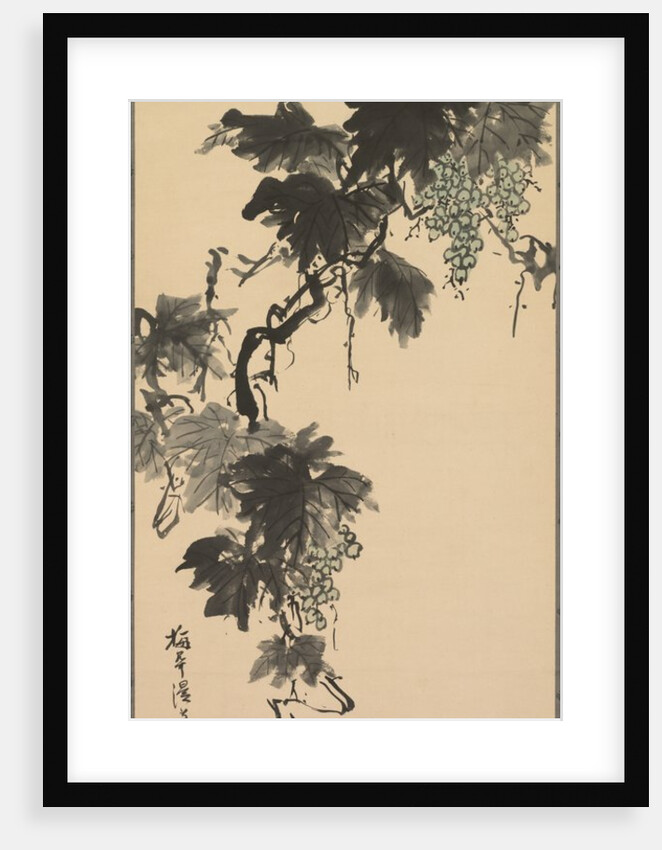 Grapes, 1800s by Baikan Sugai