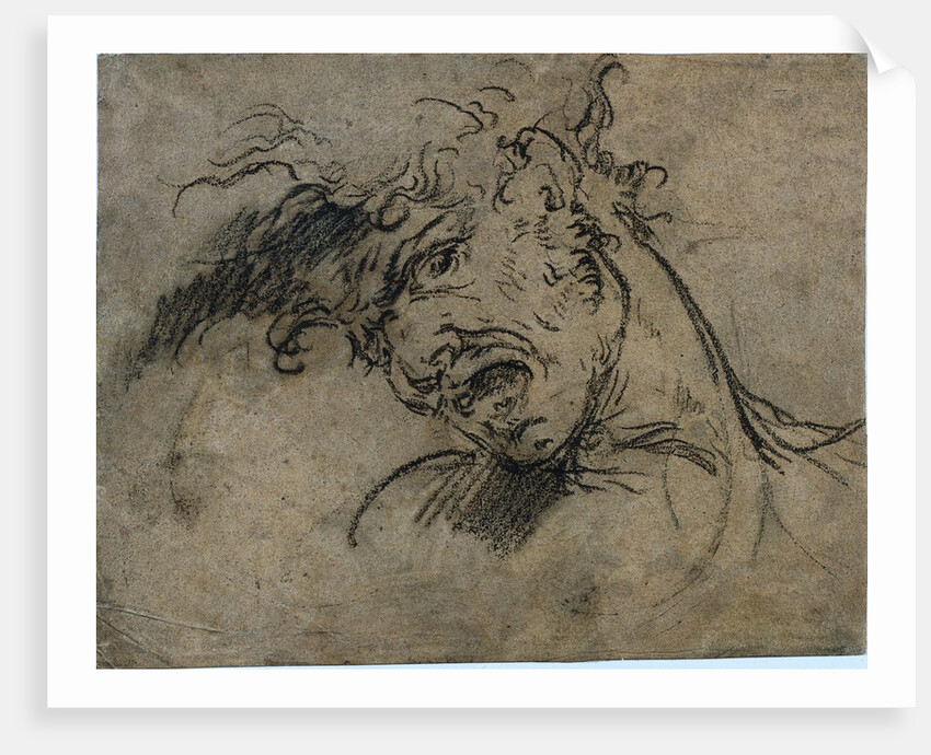 Head of a Screaming Man, 1792 by Benjamin West