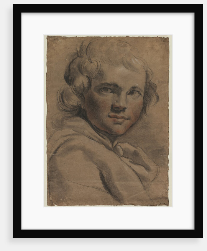 Head of a Young Man Sketch of a Head, 1780s by Gaetano Gandolfi