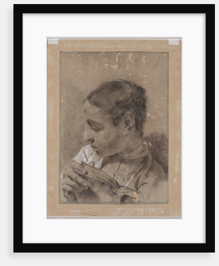 Head of a Young Man in Profile with a Book, c. 1730/40s by Giovanni Battista Piazzetta