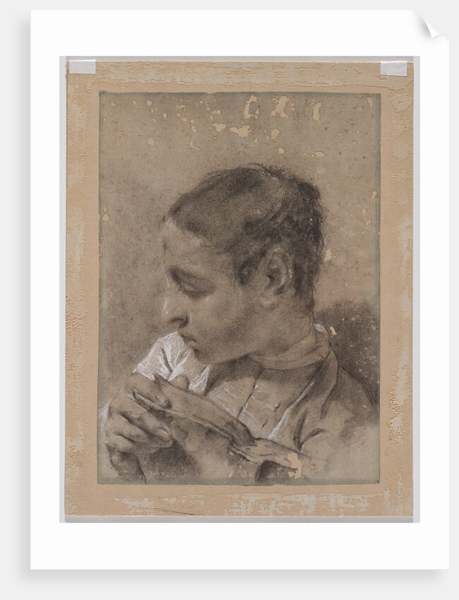 Head of a Young Man in Profile with a Book, c. 1730/40s by Giovanni Battista Piazzetta