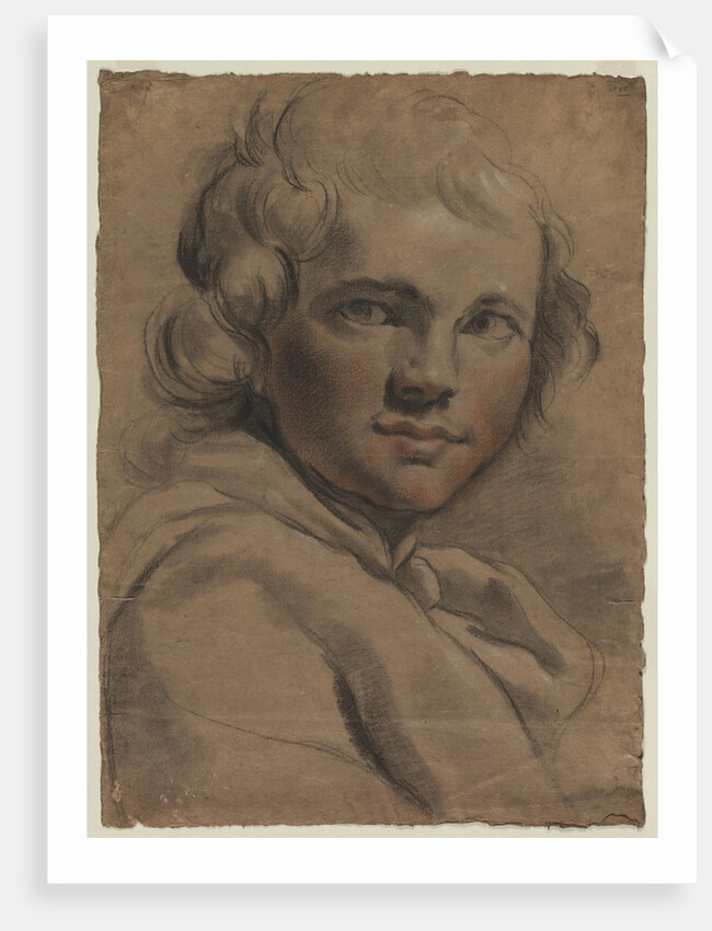 Head of a Young Man, 1780s by Gaetano Gandolfi