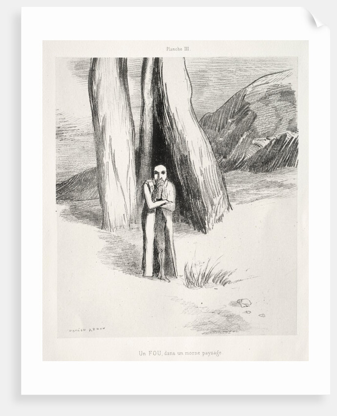 Homage to Goya: A Madman in a Dismal Landscape, 1885 by Odilon Redon