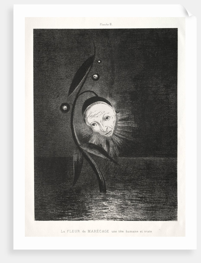 Homage to Goya: The Marsh Flower, a Sad Human Head, 1885 by Odilon Redon