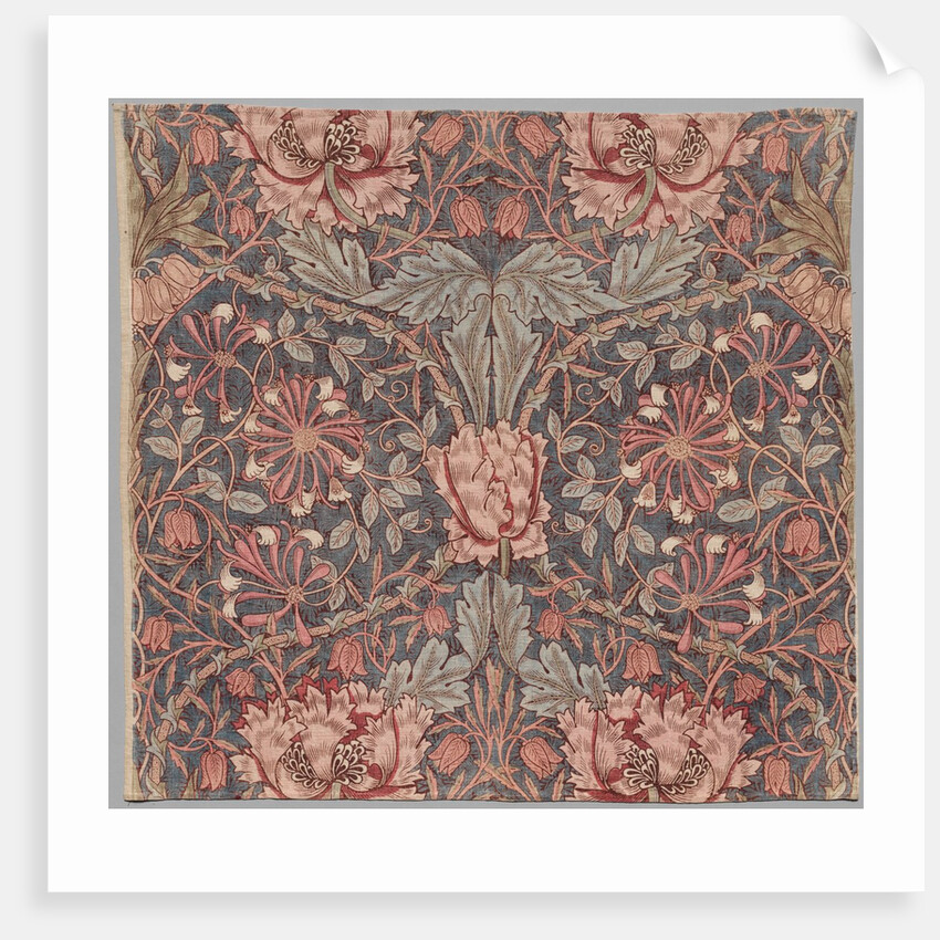 Honeysuckle, Early 20th century by William Morris