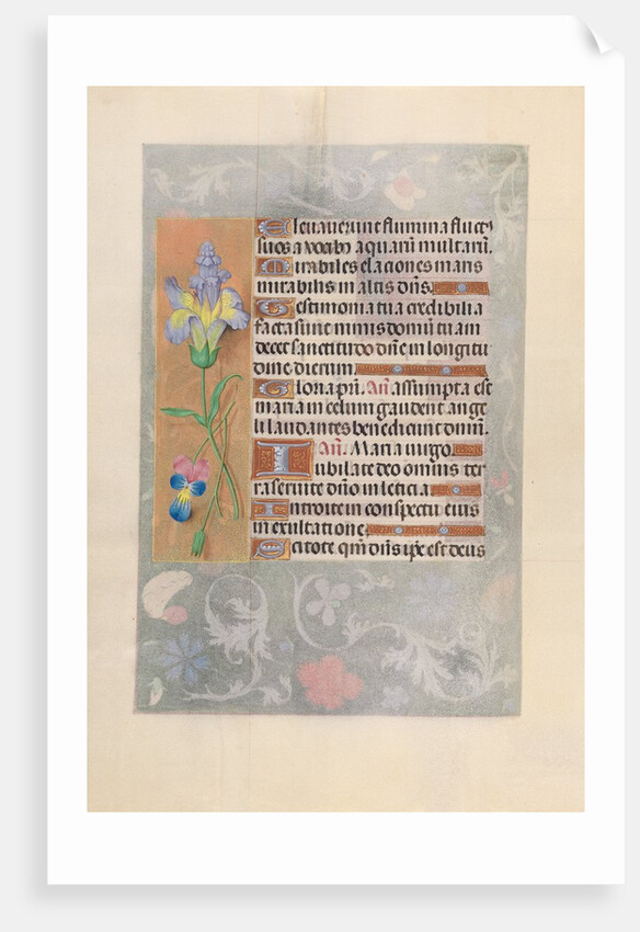 Hours of Queen Isabella the Catholic, Queen of Spain: Fol. 116v, c. 1500 by Master of the First Prayerbook of Maximillian
