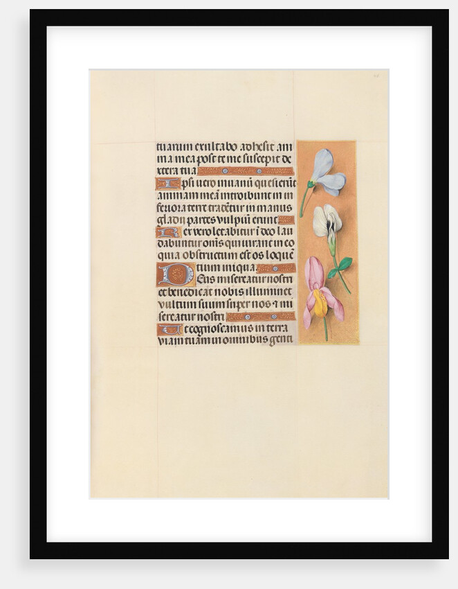 Hours of Queen Isabella the Catholic, Queen of Spain: Fol. 118r, c. 1500 by Master of the First Prayerbook of Maximillian