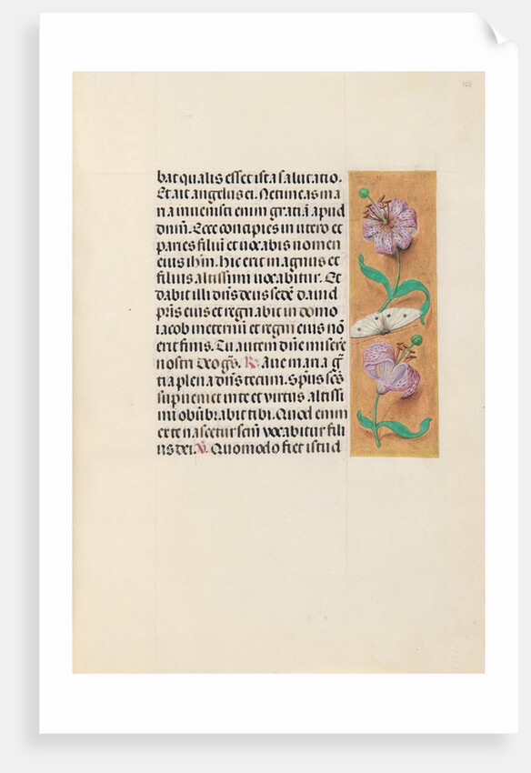 Hours of Queen Isabella the Catholic, Queen of Spain: Fol. 163r, c. 1500 by Master of the First Prayerbook of Maximillian