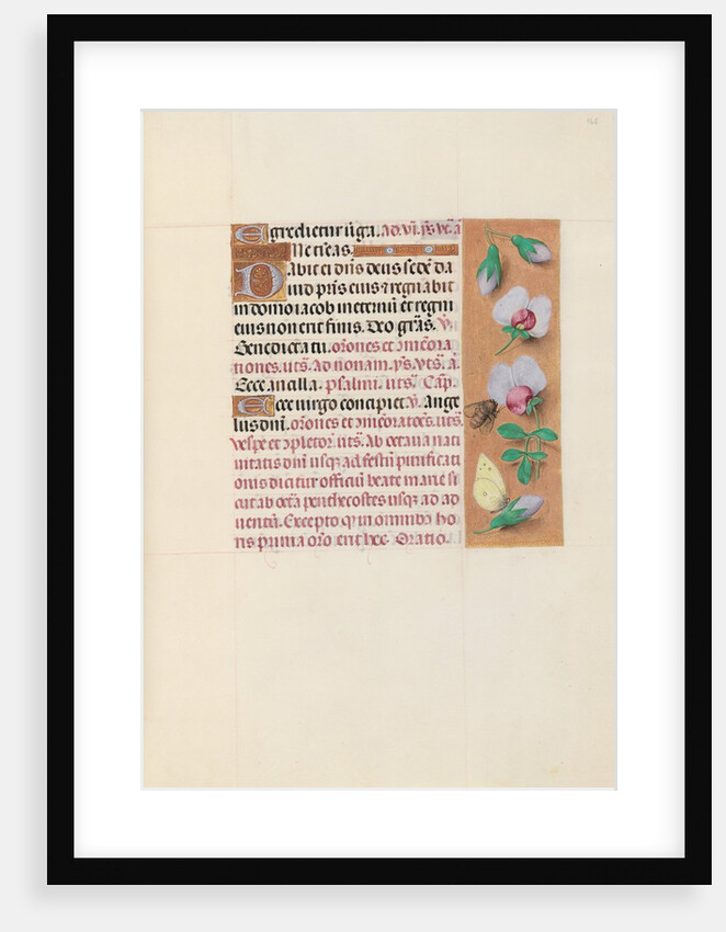Hours of Queen Isabella the Catholic, Queen of Spain: Fol. 165r, c. 1500 by Master of the First Prayerbook of Maximillian