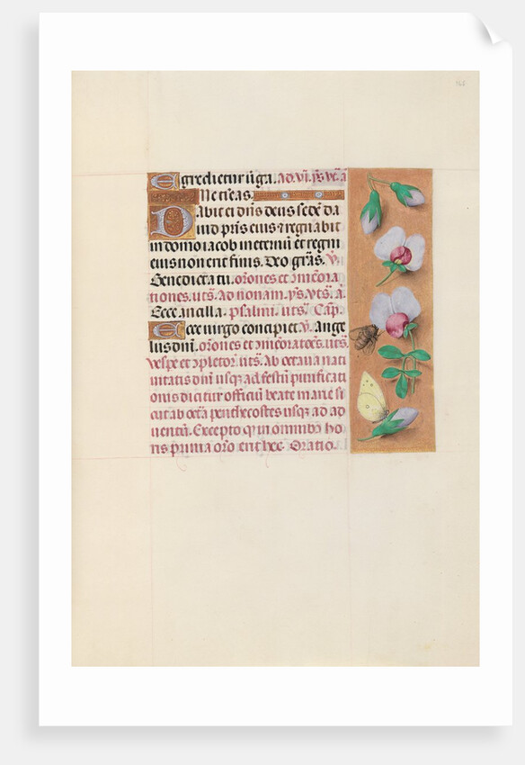 Hours of Queen Isabella the Catholic, Queen of Spain: Fol. 165r, c. 1500 by Master of the First Prayerbook of Maximillian