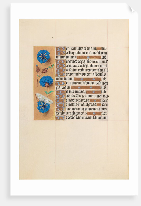 Hours of Queen Isabella the Catholic, Queen of Spain: Fol. 213v, c. 1500 by Master of the First Prayerbook of Maximillian