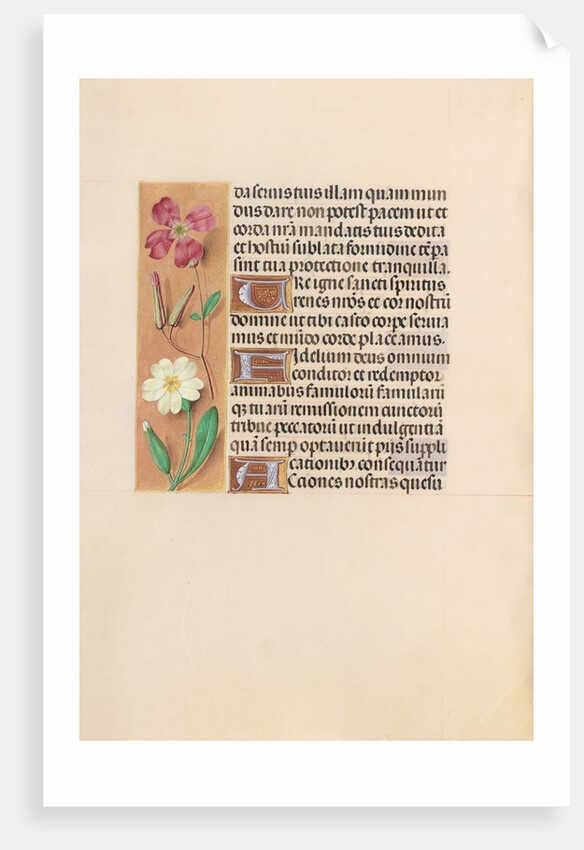 Hours of Queen Isabella the Catholic, Queen of Spain: Fol. 217v, c. 1500 by Master of the First Prayerbook of Maximillian