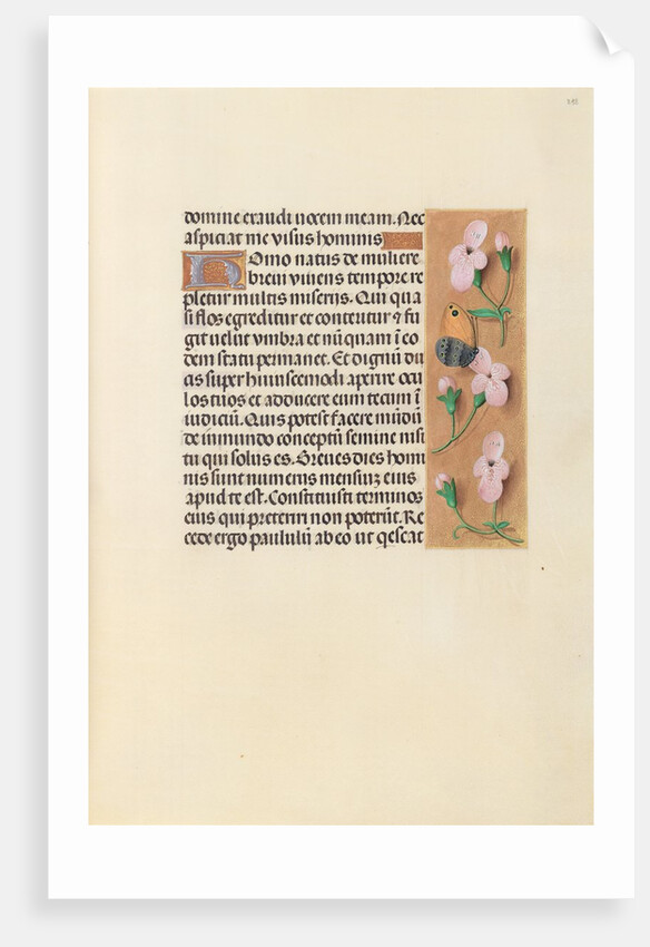 Hours of Queen Isabella the Catholic, Queen of Spain: Fol. 238r, c. 1500 by Master of the First Prayerbook of Maximillian