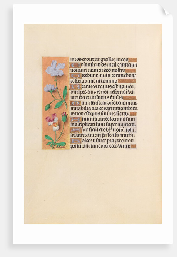 Hours of Queen Isabella the Catholic, Queen of Spain: Fol. 239v, c. 1500 by Master of the First Prayerbook of Maximillian