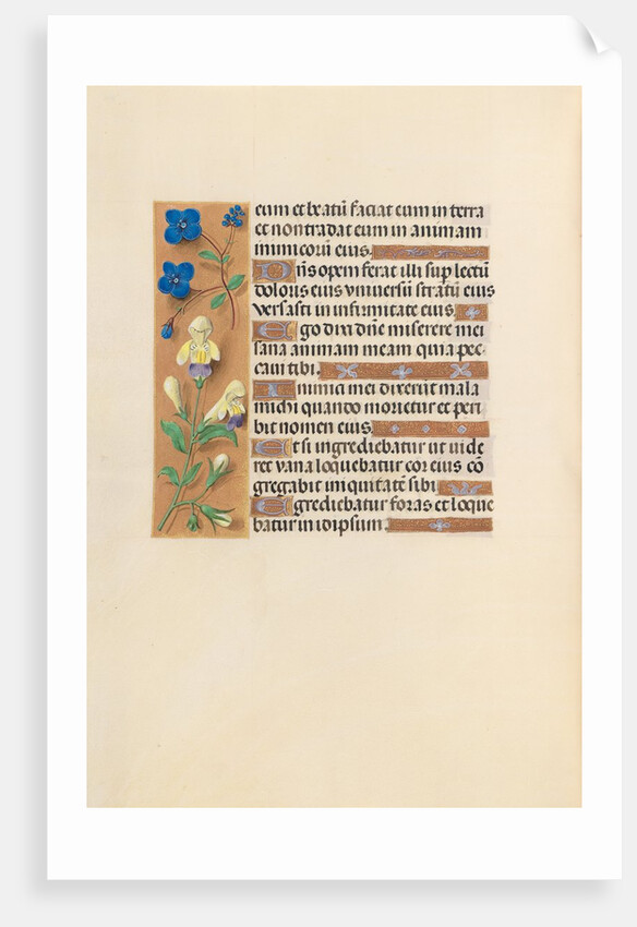 Hours of Queen Isabella the Catholic, Queen of Spain: Fol. 241v, c. 1500 by Master of the First Prayerbook of Maximillian