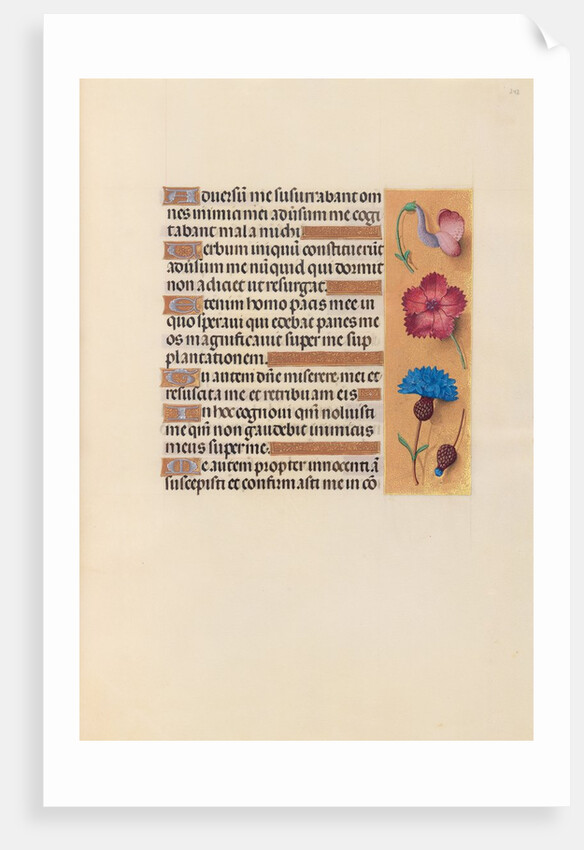 Hours of Queen Isabella the Catholic, Queen of Spain: Fol. 242r, c. 1500 by Master of the First Prayerbook of Maximillian