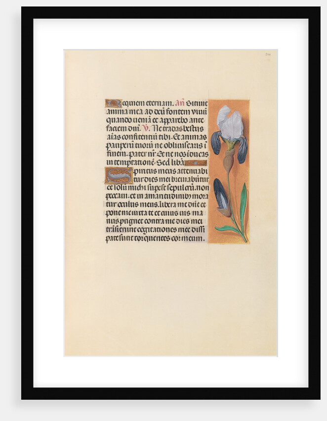 Hours of Queen Isabella the Catholic, Queen of Spain: Fol. 244r, c. 1500 by Master of the First Prayerbook of Maximillian