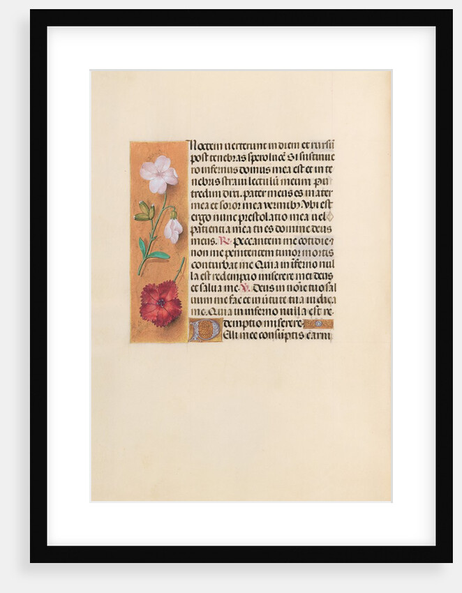 Hours of Queen Isabella the Catholic, Queen of Spain: Fol. 244v, c. 1500 by Master of the First Prayerbook of Maximillian