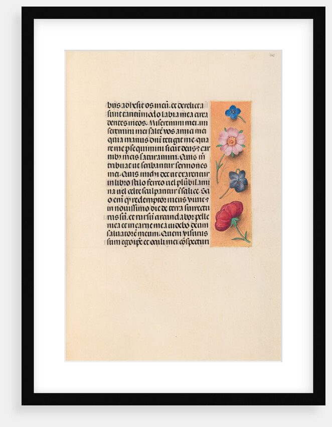 Hours of Queen Isabella the Catholic, Queen of Spain: Fol. 245r, c. 1500 by Master of the First Prayerbook of Maximillian