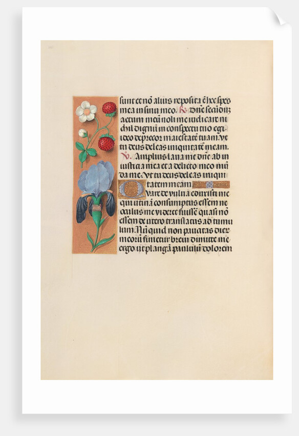 Hours of Queen Isabella the Catholic, Queen of Spain: Fol. 245v, c. 1500 by Master of the First Prayerbook of Maximillian