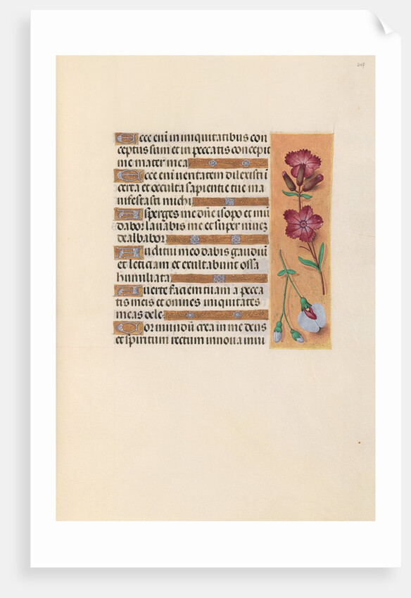 Hours of Queen Isabella the Catholic, Queen of Spain: Fol. 247r, c. 1500 by Master of the First Prayerbook of Maximillian