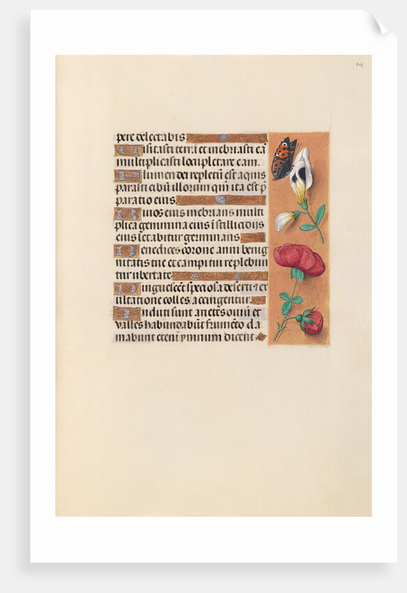 Hours of Queen Isabella the Catholic, Queen of Spain: Fol. 249r, c. 1500 by Master of the First Prayerbook of Maximillian
