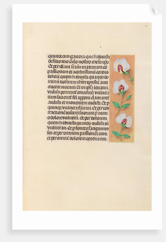 Hours of Queen Isabella the Catholic, Queen of Spain: Fol. 259r, c. 1500 by Master of the First Prayerbook of Maximillian