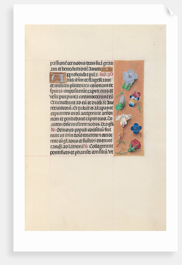 Hours of Queen Isabella the Catholic, Queen of Spain: Fol. 54r, c. 1500 by Master of the First Prayerbook of Maximillian