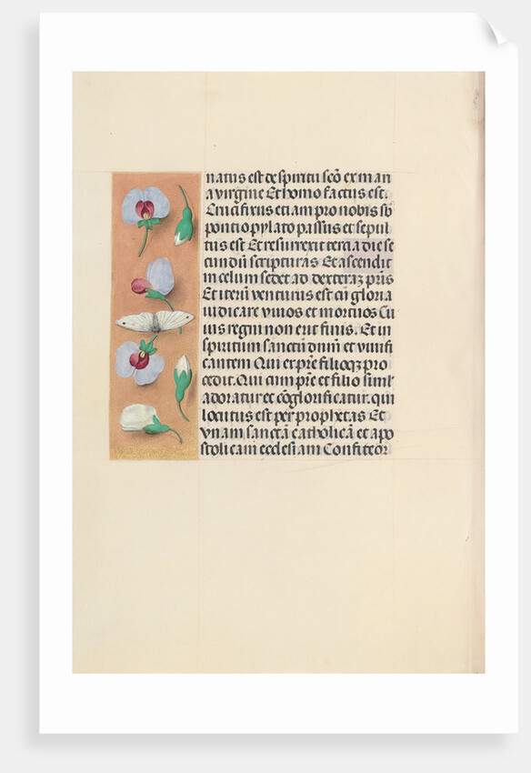 Hours of Queen Isabella the Catholic, Queen of Spain: Fol. 91v, c. 1500 by Master of the First Prayerbook of Maximillian