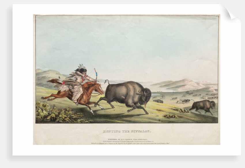 Hunting the Buffalo, 1837 by E. C. Biddle; John T. Bowen; E.C. Biddle