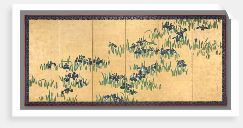 Irises, 1700s by Watanabe Shik?