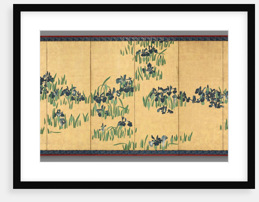 Irises, 1700s by Watanabe Shik?