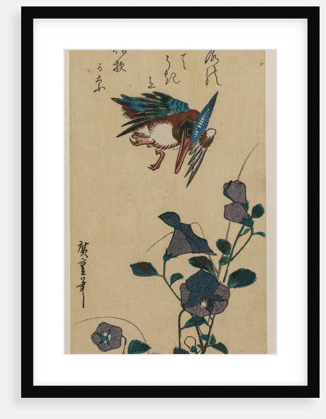 Kingfisher and Chinese Bellflowers, early or mid-1830s by Ando Hiroshige