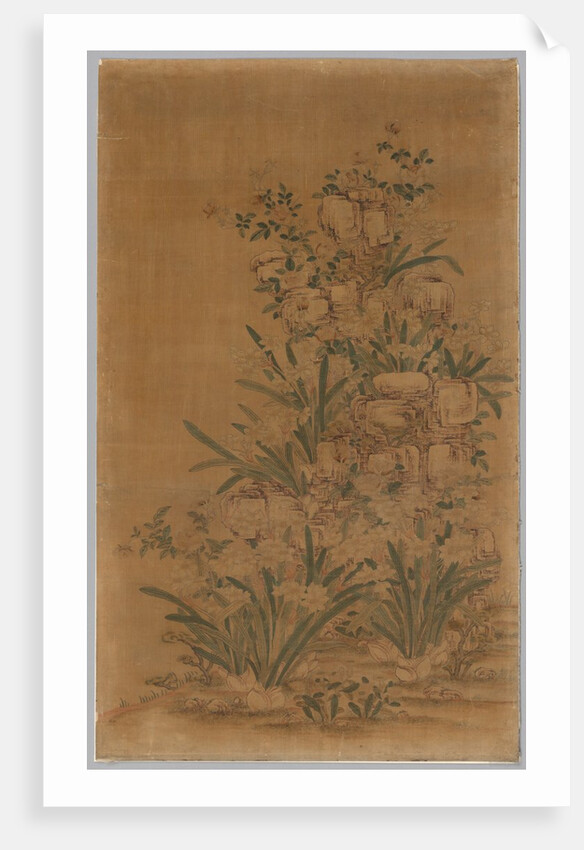 Ko Ssu Panel: Rocks and Narcissus, 1700s - 1800s by Unknown