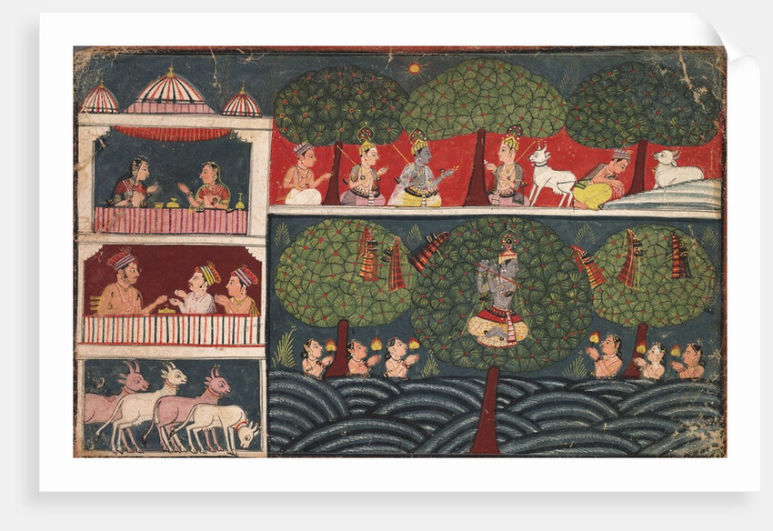 Krishna Stealing Gopis Clothes, Page from the Bhagavata Purana, c. 1650 by Unknown