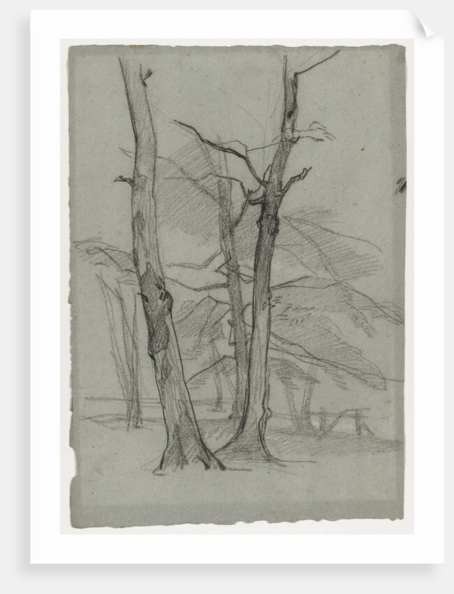 Landscape Study with Trees, c. 1870-1875 by Thomas Couture