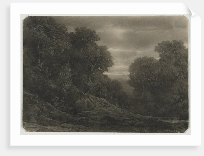 Landscape with Trees by Jean-Philippe George