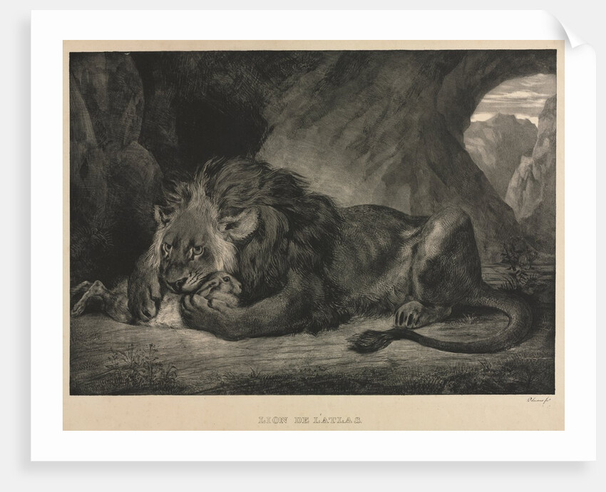 Lion de lAtlas, 1829 by Eugène Delacroix