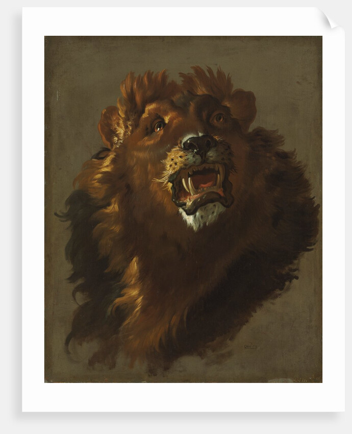 Lion, 1750s by Giuseppe Baldrighi