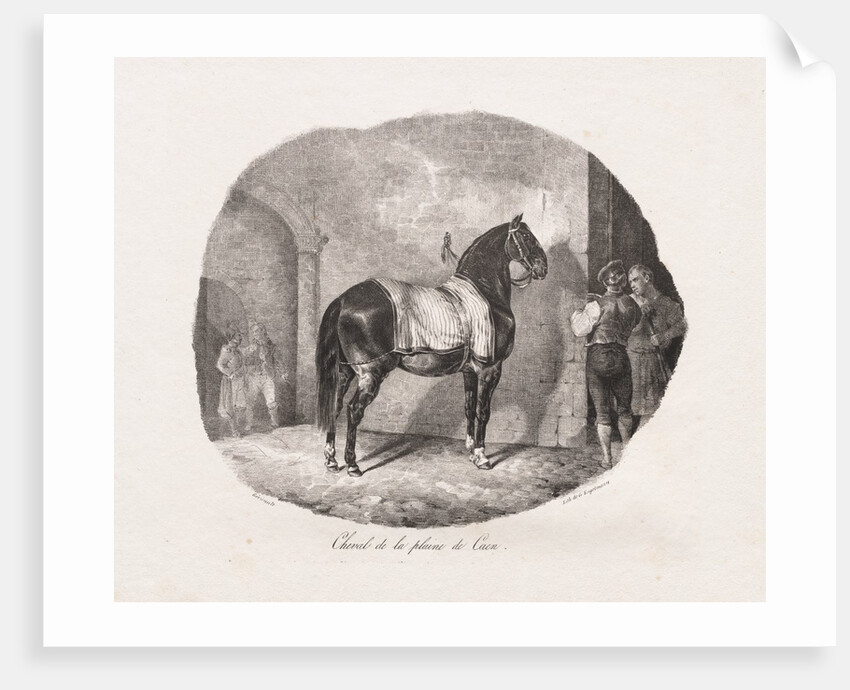 Lithographed Studies of Horses: Pl. 7, Horse from the Caen Plain, 1822 by Théodore Géricault; Gihaut
